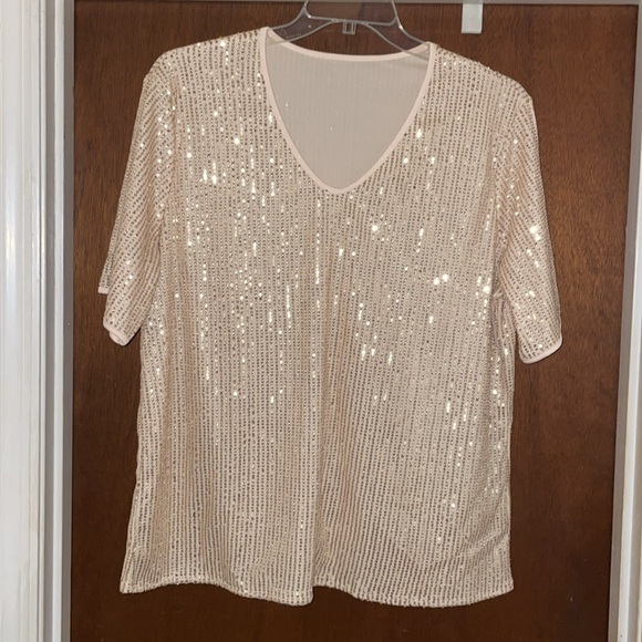 NWOT sequin skirt and matching top. - Picture 4 of 5